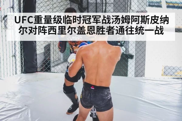 UFC重量级临时冠军战汤姆阿斯皮纳尔对阵西里尔盖恩胜者通往统一战