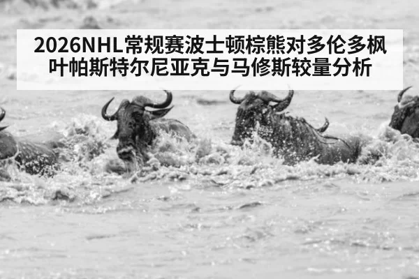 2026NHL常规赛波士顿棕熊对多伦多枫叶帕斯特尔尼亚克与马修斯较量分析